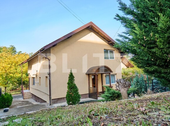 Casa de vânzare 5 camere Lunca Cetatuii - 87951CV | BLITZ Iași | Poza2