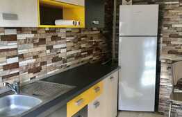 Apartament de 1 camera, 40 mp, modern, zona Pacurari