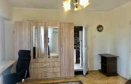 Apartament de 1 camera, 40 mp, modern, zona Pacurari