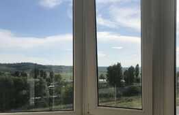 Apartament de 1 camera, 40 mp, modern, zona Pacurari