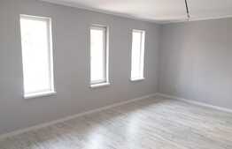 Case plan parter, 87 mp,400  mp teren, Ciurea