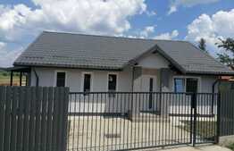 Case plan parter, 87 mp,400  mp teren, Ciurea