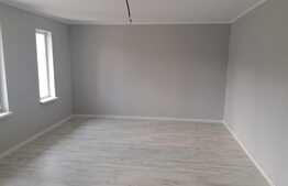 Case plan parter, 87 mp,400  mp teren, Ciurea