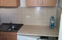 Garsoniera de 24 mp, etaj intermediar, cartier Alexandru cel Bun