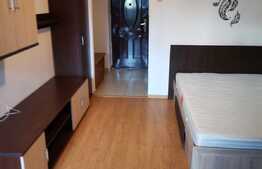 Garsoniera de 24 mp, etaj intermediar, cartier Alexandru cel Bun