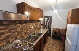 Apartament 1 camera, 31mp, etaj intermediar, Lunca Cetatuii