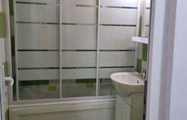 Apartament de 1 camere, 33 mp, renovat, zona Tatarasi