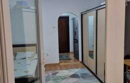 Apartament de 1 camere, 33 mp, renovat, zona Tatarasi