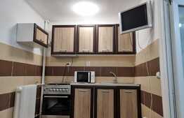 Apartament de 1 camere, 33 mp, renovat, zona Tatarasi