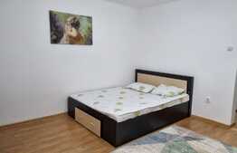 Apartament de 1 camere, 33 mp, renovat, zona Tatarasi