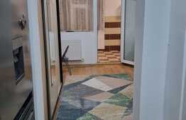 Apartament de 1 camere, 33 mp, renovat, zona Tatarasi