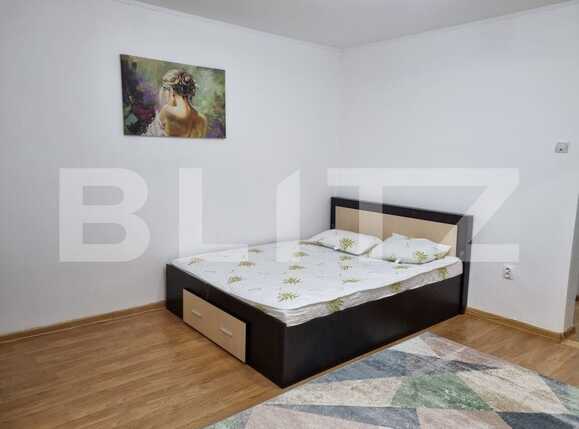 Garsonieră de închiriat Tatarasi - 88202AI | BLITZ Iași | Poza1