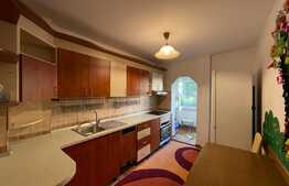 Apartament de 3 camere, 60 mp, parcare, Pet Friendly, zona Arcu