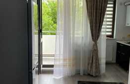Apartament de 1 camera, 33mp, prima inchiriere, zona Palas