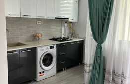 Apartament de 1 camera, 33mp, prima inchiriere, zona Palas