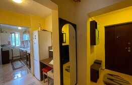 Apartament de 2 camere, 40 mp, decomandat, zona Pacurari