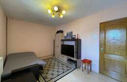 Apartament de 2 camere, 40 mp, decomandat, zona Pacurari