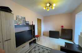 Apartament de 2 camere, 40 mp, decomandat, zona Pacurari