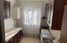 Apartament de 2 camere, 36 mp, renovat, zona Primaverii