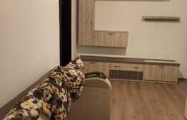 Apartament de 2 camere, 45 mp, prima inchiriere, zona Pacurari