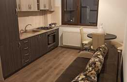 Apartament de 2 camere, 45 mp, prima inchiriere, zona Pacurari