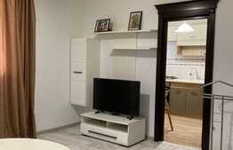 Apartament 2 camere, 46 mp, posibilitate de parcare, zona Moara de Vant