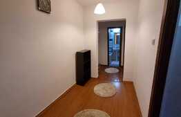 Apartament de 2 camere, decomandat, 50mp, zona Targu Cucu
