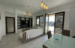 Apartament de 2 camere, 75mp, lumina naturala, zona Palas