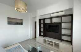 Apartament de 2 camere, 75mp, lumina naturala, zona Palas