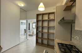 Apartament de 2 camere, 75mp, lumina naturala, zona Palas