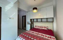 Apartament de 2 camere, 75mp, lumina naturala, zona Palas