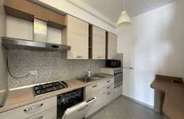 Apartament de 2 camere, 75mp, lumina naturala, zona Palas