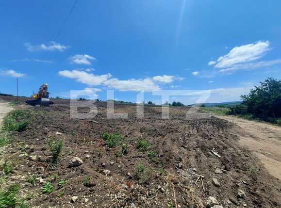 Teren de vânzare Tomesti - 88886TV | BLITZ Iași | Poza1