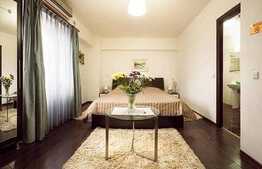 Garsoniera moderna, 21 mp, zona Central