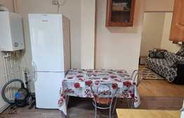 Apartament de 2 camere, 42mp, recent renovat, zona Dacia