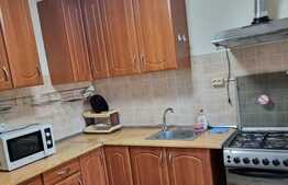 Apartament de 2 camere, 42mp, recent renovat, zona Dacia