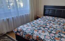 Apartament de 2 camere, 42mp, recent renovat, zona Dacia