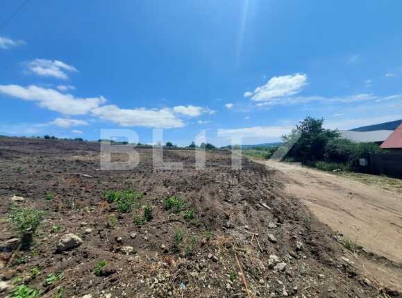 Teren de vânzare Tomesti - 88943TV | BLITZ Iași | Poza1