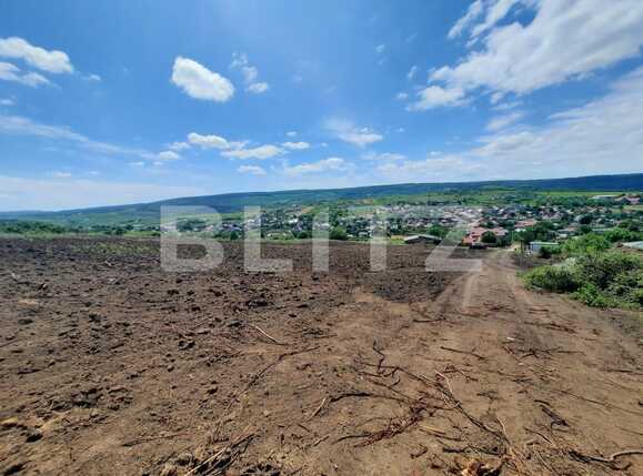 Teren de vânzare Tomesti - 88945TV | BLITZ Iași | Poza1