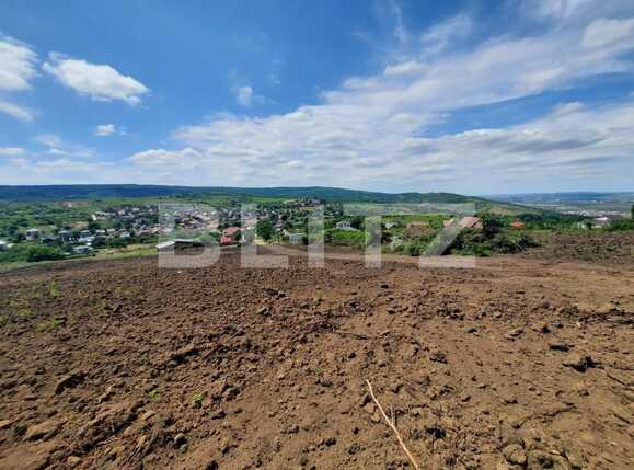 Teren de vânzare Tomesti - 88946TV | BLITZ Iași | Poza2