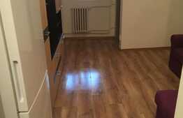 Garsoniera, 24 mp, complet mobilata, cartier Nicolina