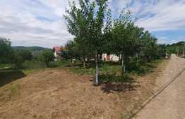 Teren intravilan de 500 mp, canalizare, Tomesti