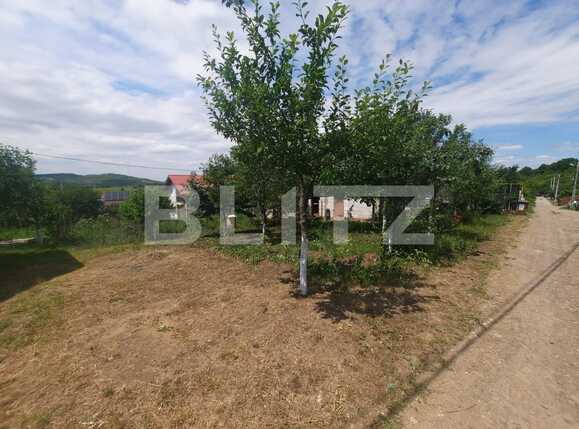 Teren de vânzare Tomesti - 88948TV | BLITZ Iași | Poza3