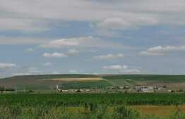 Teren 10.000mp extravilan Dumesti-Banu