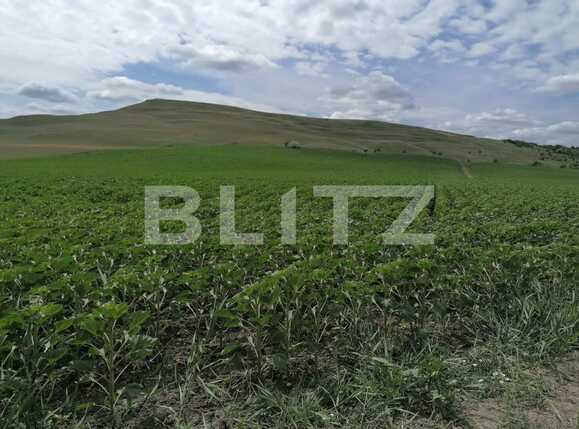 Teren de vânzare Dumesti - 88985TV | BLITZ Iași | Poza2