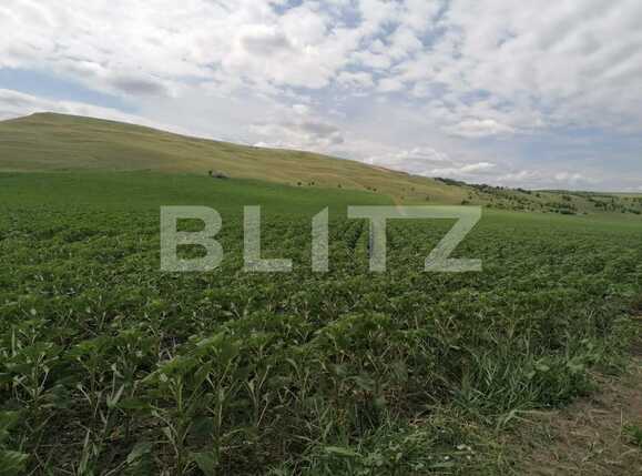 Teren de vânzare Dumesti - 88985TV | BLITZ Iași | Poza1