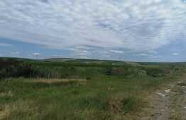 Teren extravilan 3700 mp Cogeasca