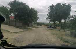 Teren extravilan 3700 mp Cogeasca