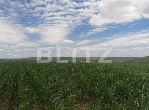 Teren de vânzare Exterior Vest - 88986TV | BLITZ Iași | Poza1