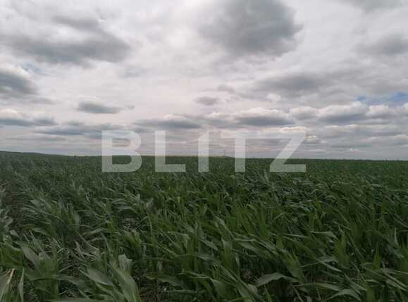 Teren de vânzare Exterior Vest - 88986TV | BLITZ Iași | Poza2